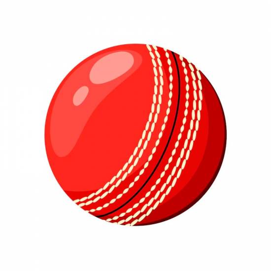 Cricket Balls Manufacturers in Texas