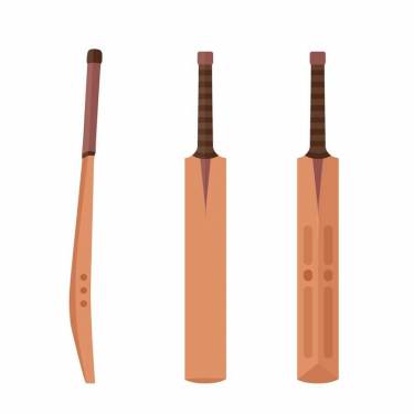 Cricket Bats Manufacturers in Texas