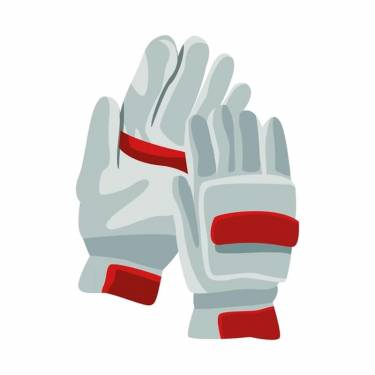 Cricket Gloves Manufacturers in Texas