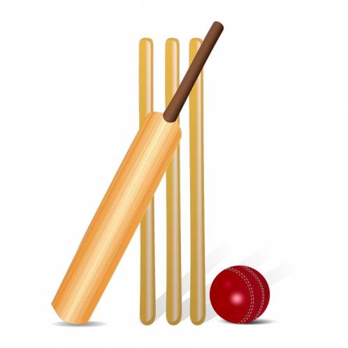 Cricket Goods Manufacturers in Kovrov