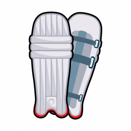 Cricket Pads Manufacturers in Seville