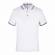 Mens Polo Shirt Cotton Solid Regular Fit Half Sleeve Collared Neck Premium Quality Manufacturers, Suppliers, Exporters in Texas