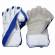 Professional Orange and Blue Cricket Wicket Keeping Gloves Manufacturers, Suppliers, Exporters in Texas